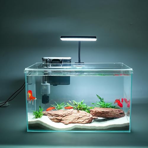 Vimvins 10 Gallon Glass Small Fish Tank with Filter Light and Lid, Aqu — Build quality and design details up close