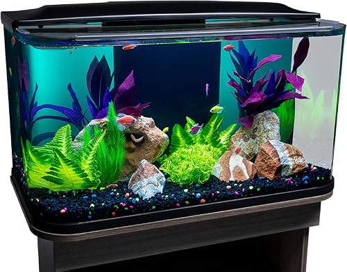 GloFish Glass Aquarium Kit, 20 Gallons, Includes Premium Blue, LED Lig — Side-by-side comparison of top picks in this category