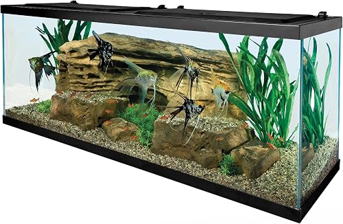 Tetra Complete LED Aquarium Kit for Fish, 55 Gallons, Includes White L — Our hands-on testing setup for best aquarium kit 2026